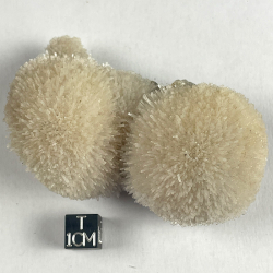 Thomsonite, Tasmanie