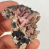 inesite, USA