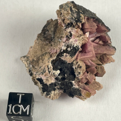 inesite, USA