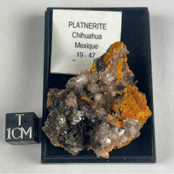 Plattnerite, Mexico