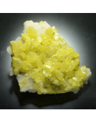 C+C  TOP  Museum pieces